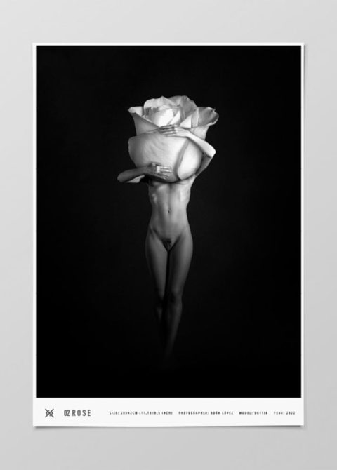 rose-fineart-print-nudeart-nude-lopez-jensen-lopezjensenstudio-art-digital-art-limited-edition-shop-product-picture-1
