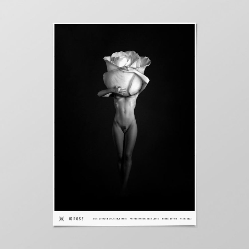 rose-fineart-print-nudeart-nude-lopez-jensen-lopezjensenstudio-art-digital-art-limited-edition-shop-product-picture-1