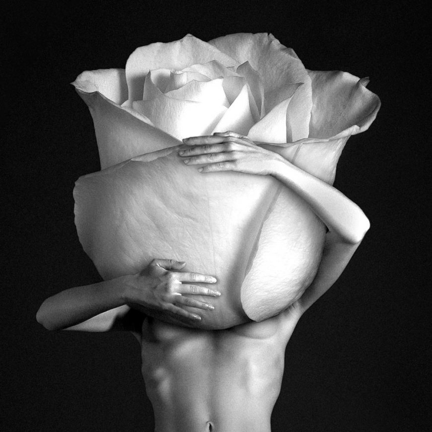 rose-fineart-print-nudeart-nude-lopez-jensen-lopezjensenstudio-art-digital-art-limited-edition-shop-product-picture-4