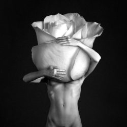 rose-new-prints-collection-winter-2022-cover-website-lopez-jensen-estudio-photography-art-nude-logo-favicon